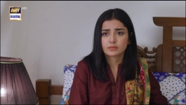 Baby Baji - Episode 17 - 8th June 2023